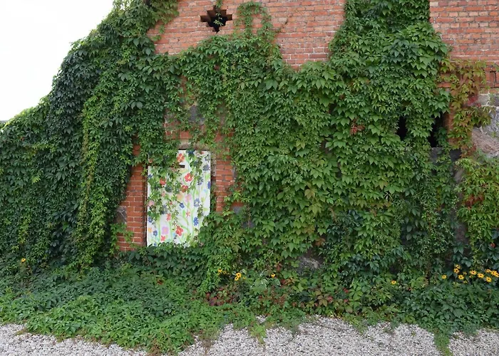 Pod Kasztanem Отель типа 